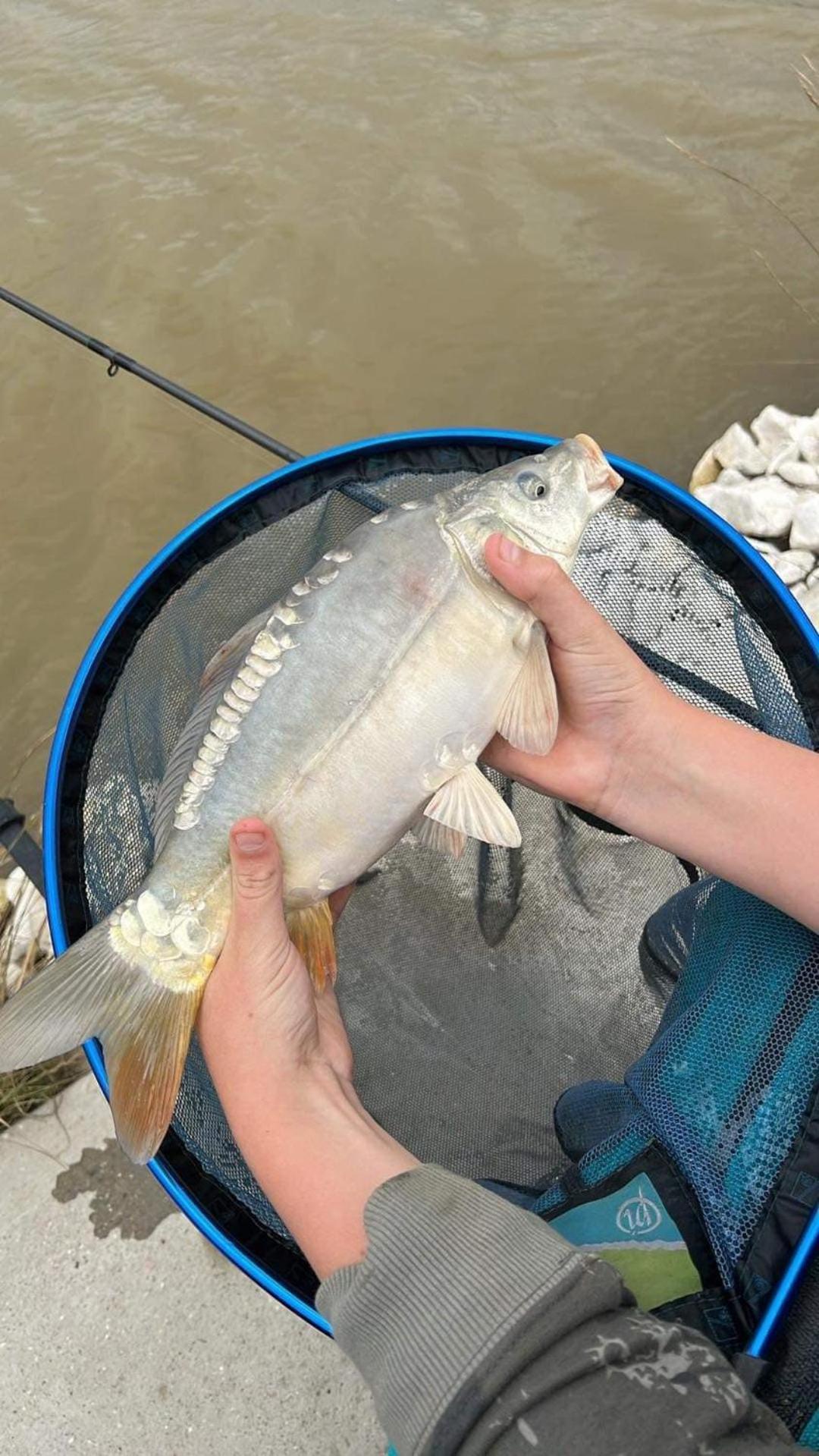 Lakeside Fishing Retreats Boston Rom bilde