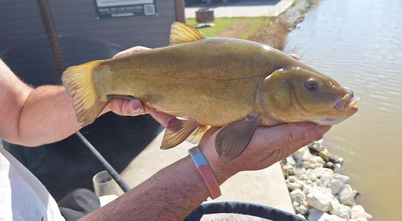 Lakeside Fishing Retreats Boston Rom bilde