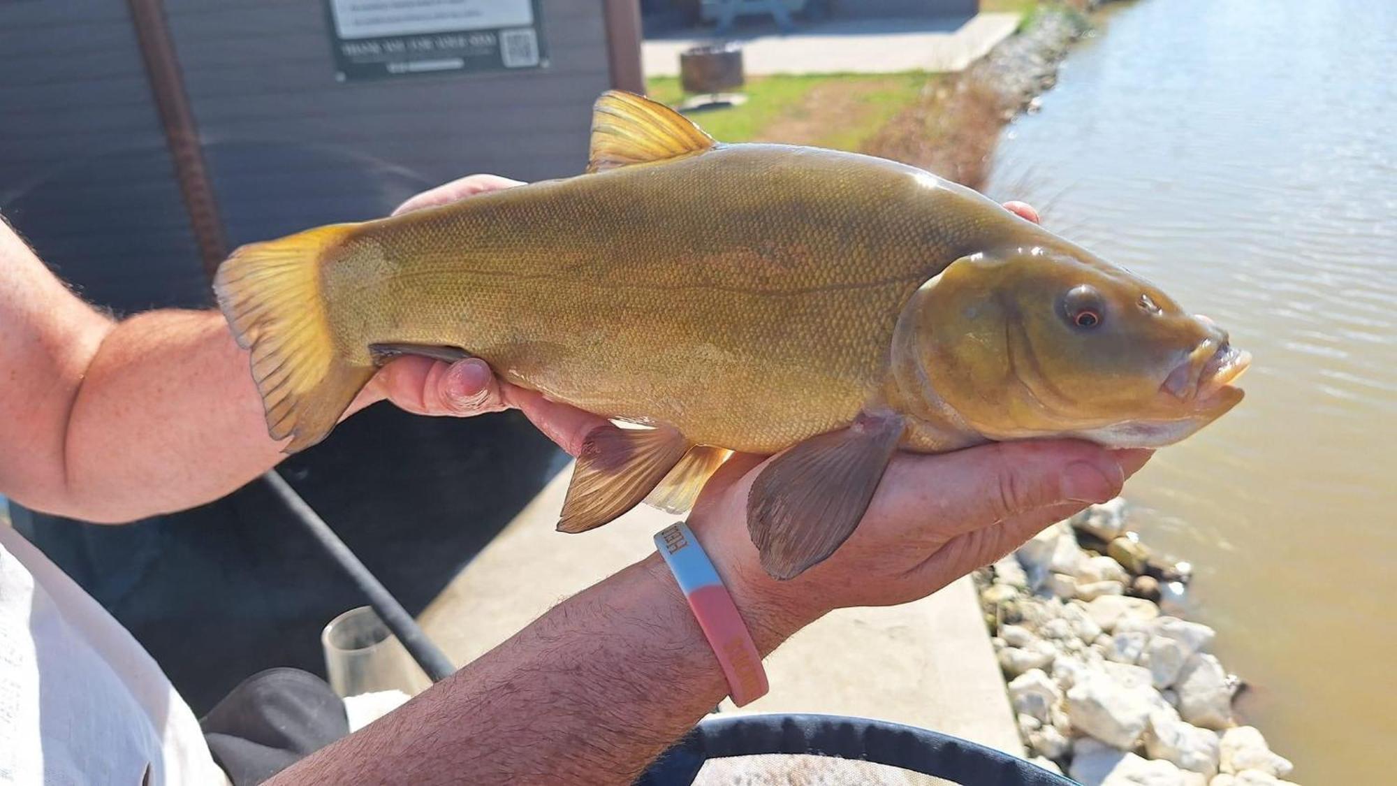Lakeside Fishing Retreats Boston Rom bilde
