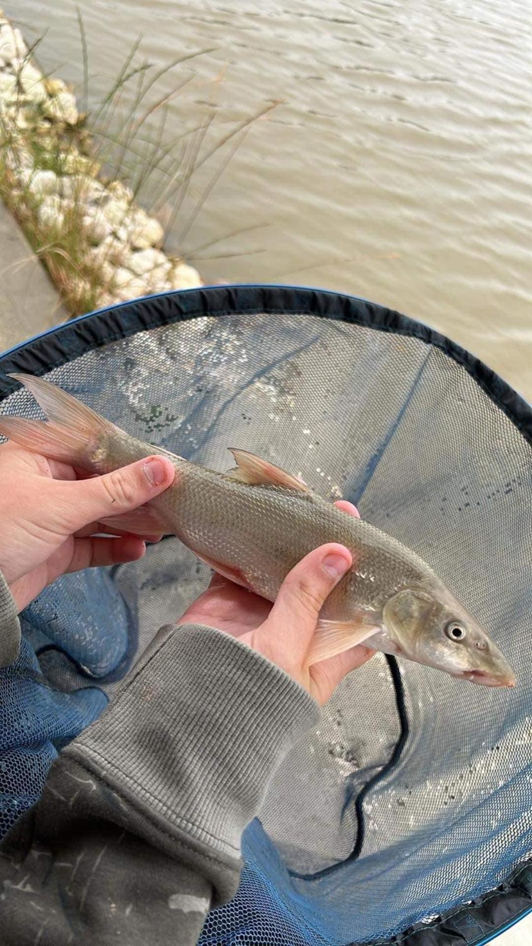 Lakeside Fishing Retreats Boston Rom bilde
