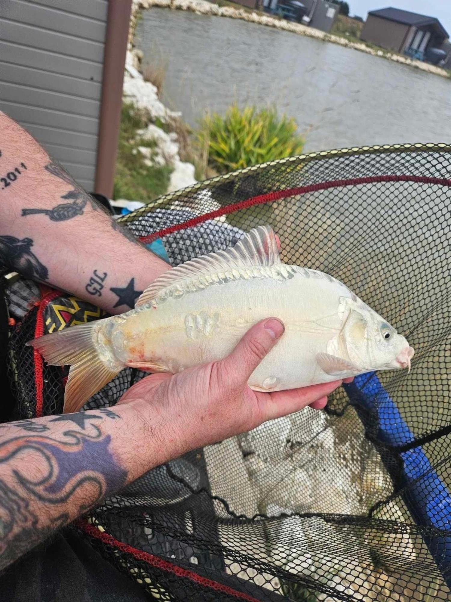 Lakeside Fishing Retreats Boston Rom bilde