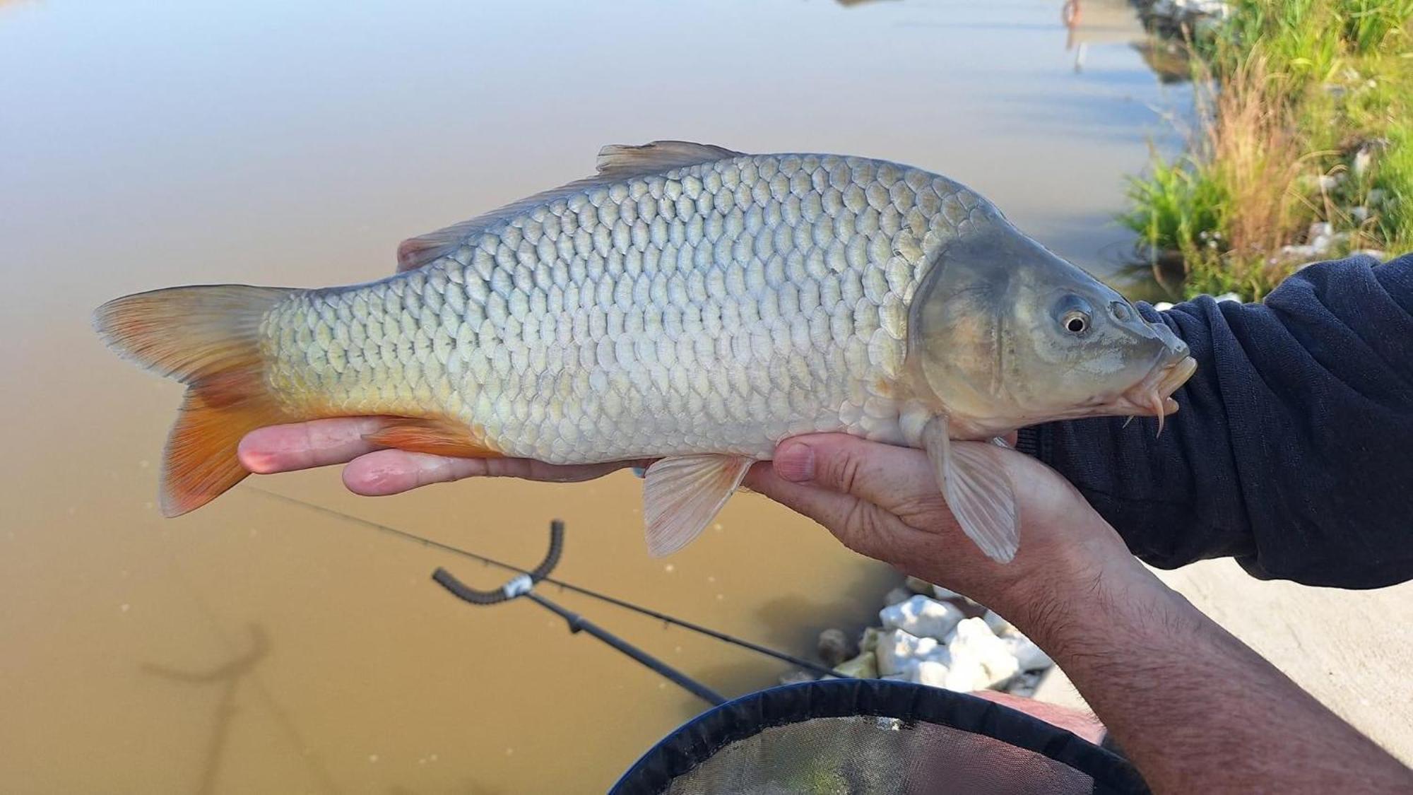 Lakeside Fishing Retreats Boston Rom bilde
