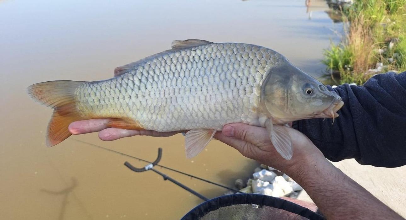 Lakeside Fishing Retreats Boston Rom bilde