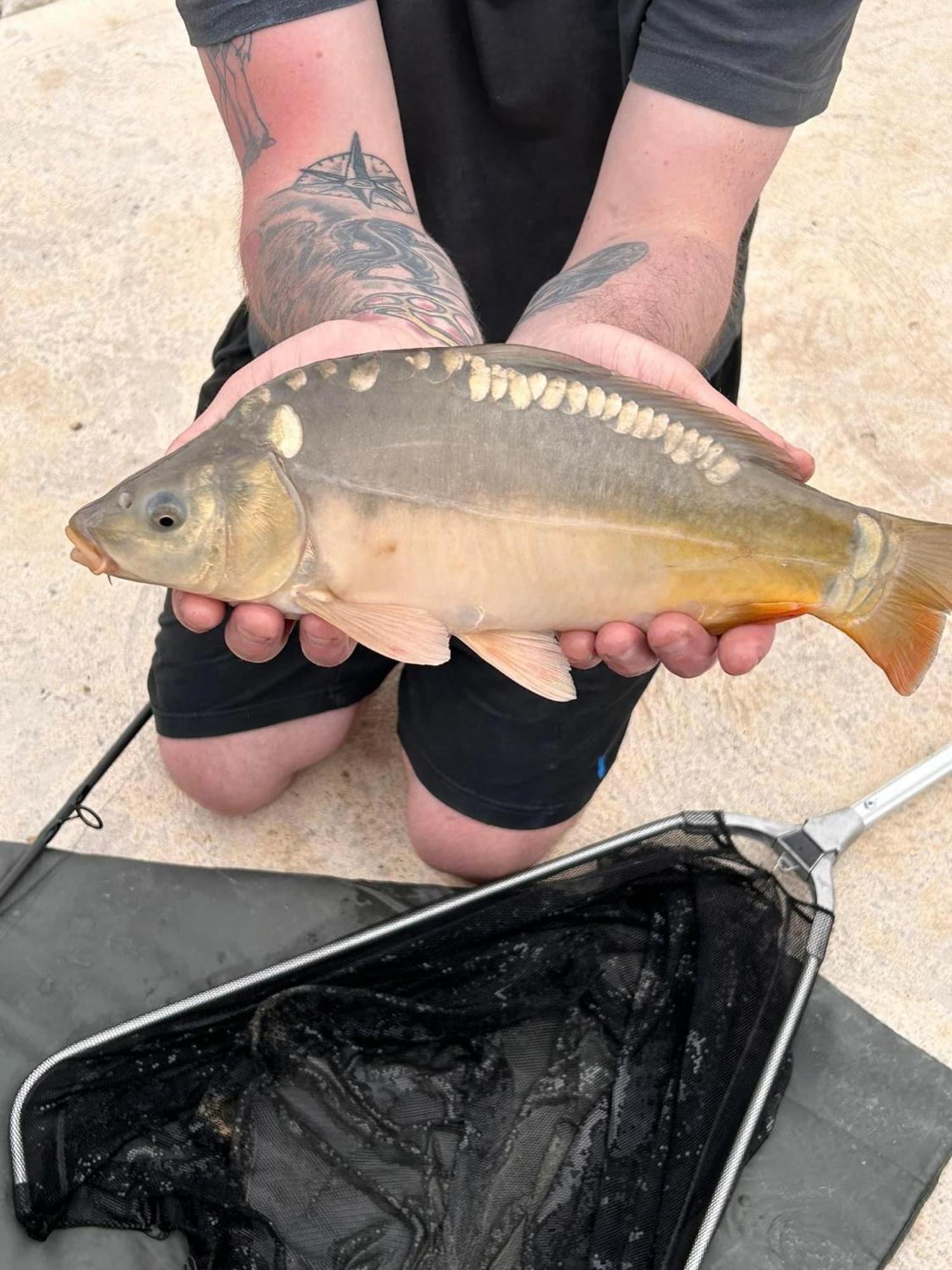 Lakeside Fishing Retreats Boston Rom bilde