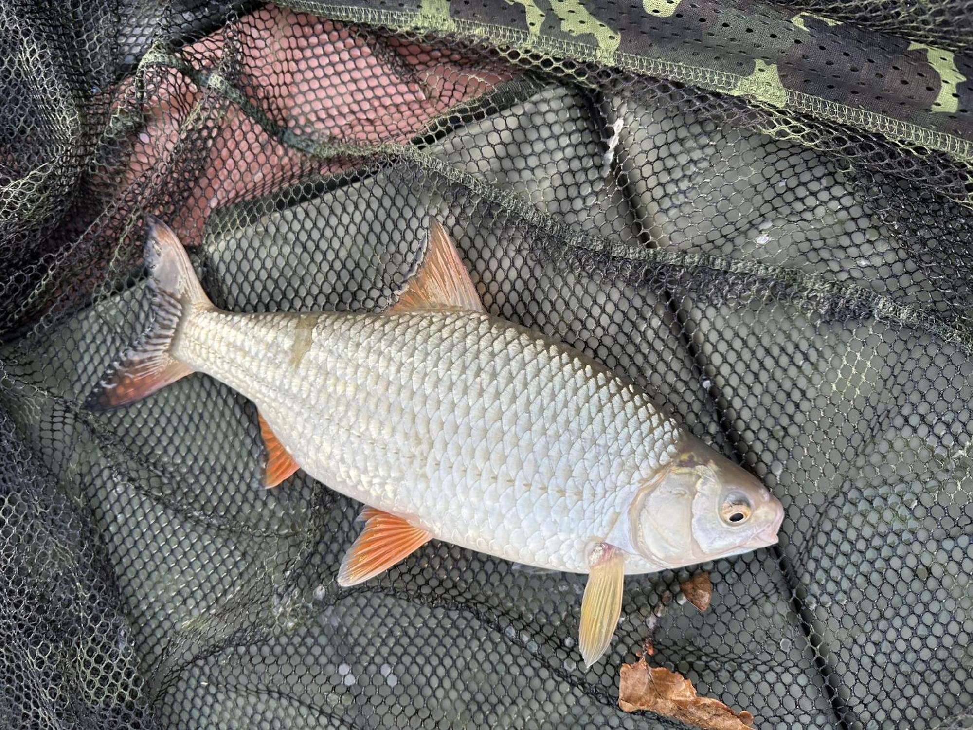 Lakeside Fishing Retreats Boston Rom bilde